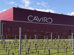 Vino: il Gruppo Caviro riceve il sostegno di Invitalia  al progetto di ampliamento dello stabilimento produttivo  di Forlì del valore di 9 milioni di euro
